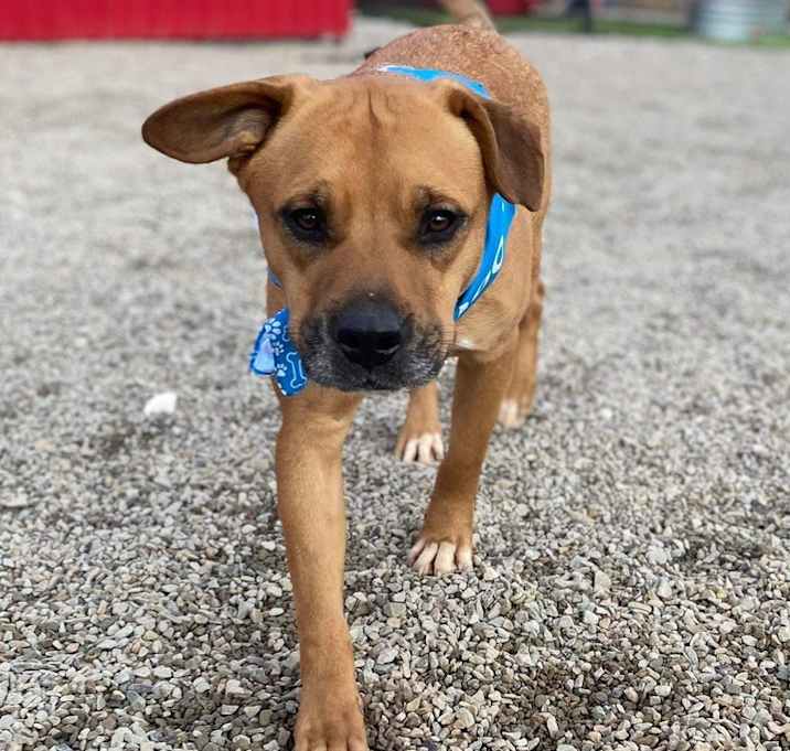 Photo of Tucker