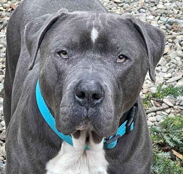 Photo of Lucky Loki