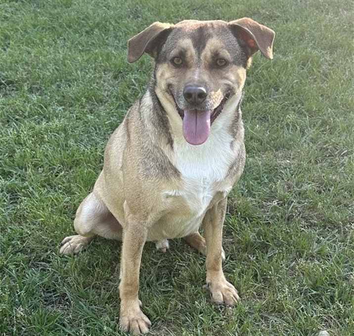 Photo of Buddy