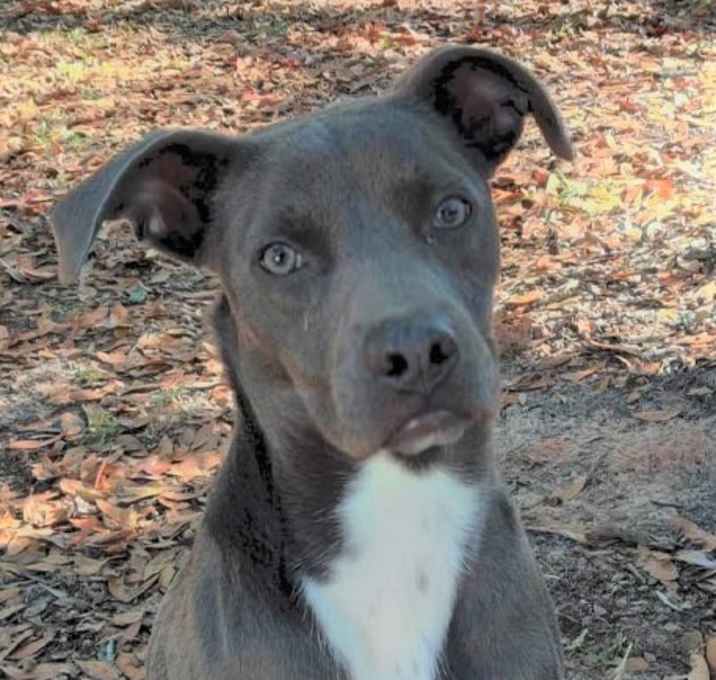 Photo of Flint