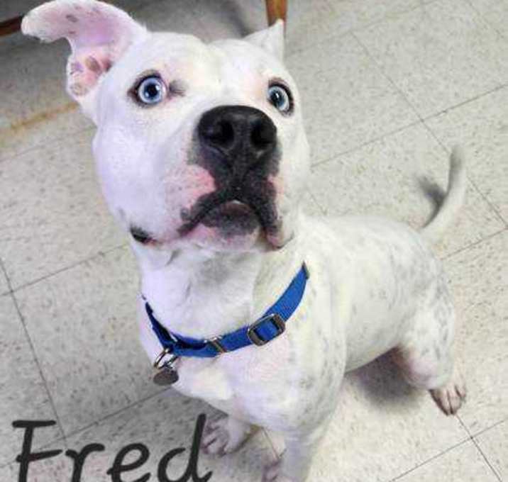 Photo of Fred
