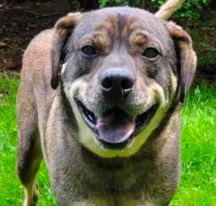 Photo of BOO