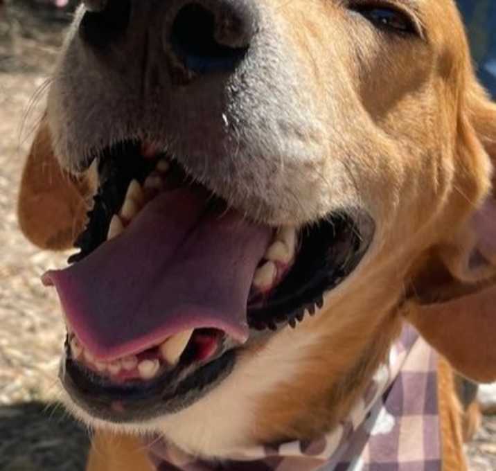 Photo of Kylo