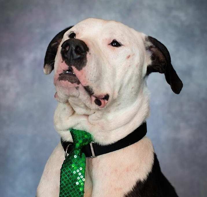 Photo of Jack (fka Jax)