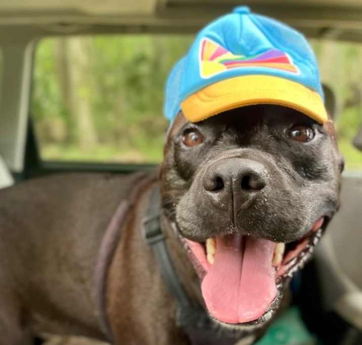 Photo of Sweetie