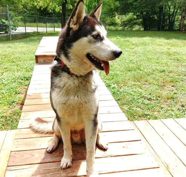 Photo of Drogo