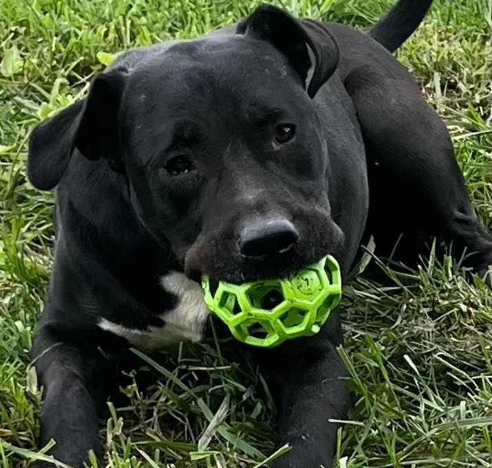 Photo of WRANGLER