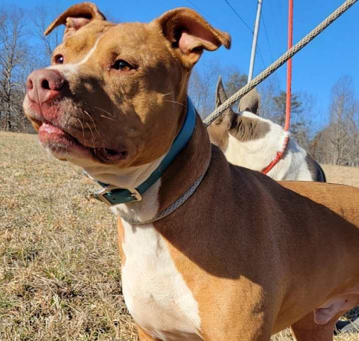Photo of REBEL