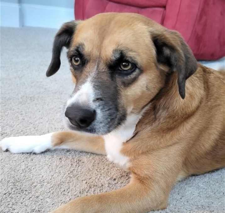 Photo of Izzy