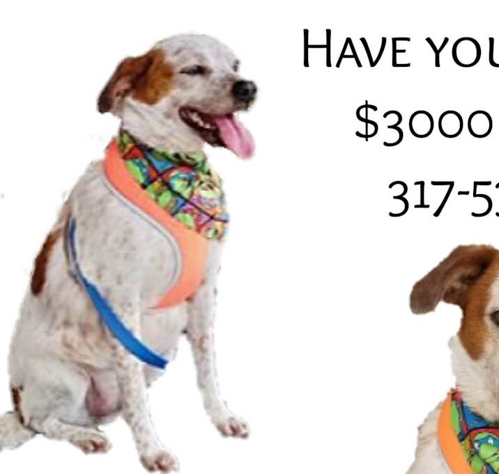 Photo of Sid $1000 Reward