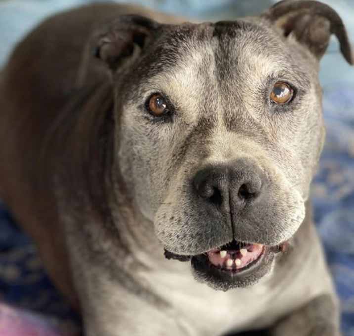 Photo of Sammie