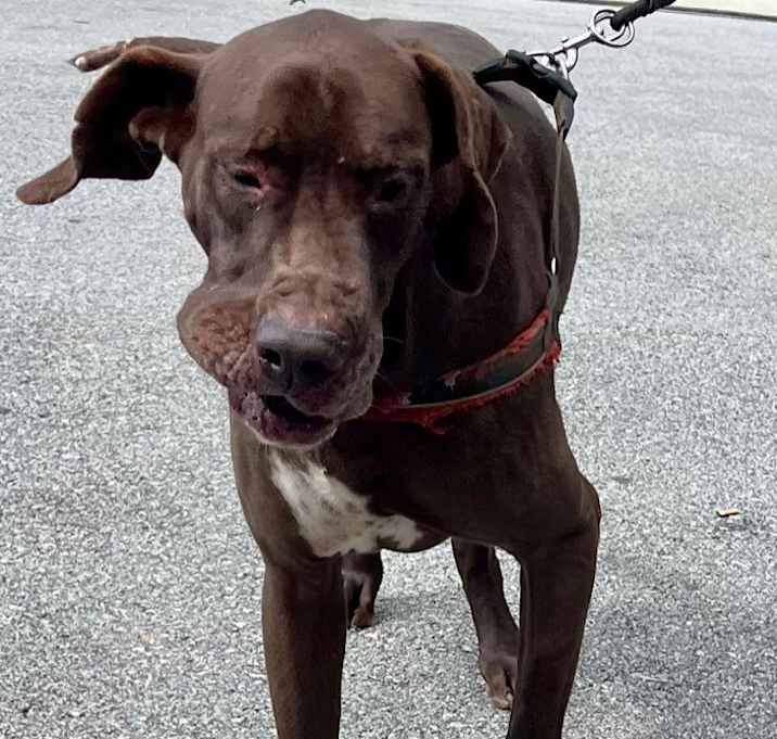 Photo of SCOOBY