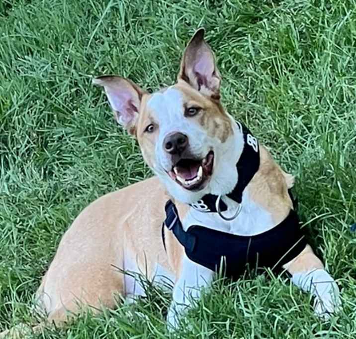 Photo of Major