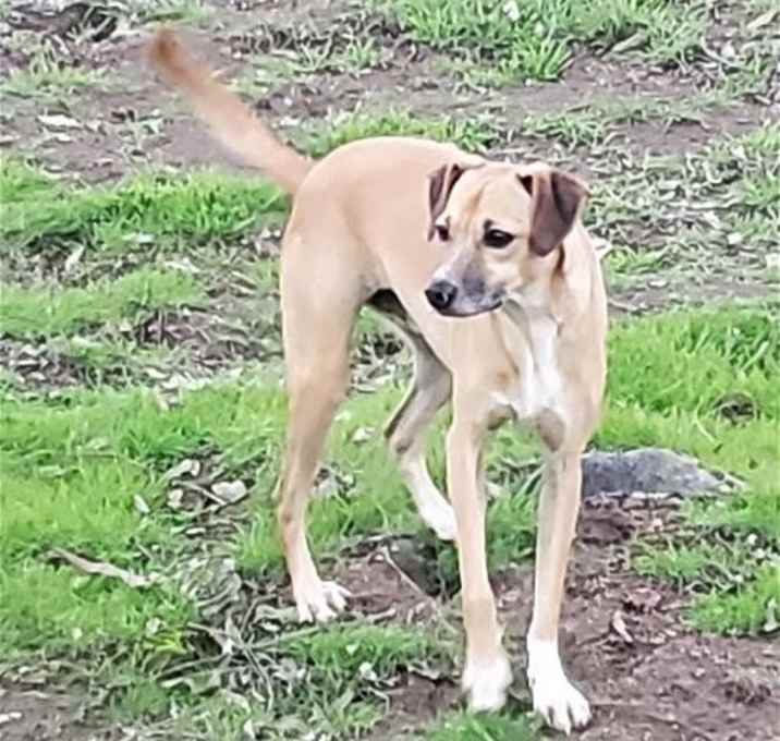 Photo of Taco