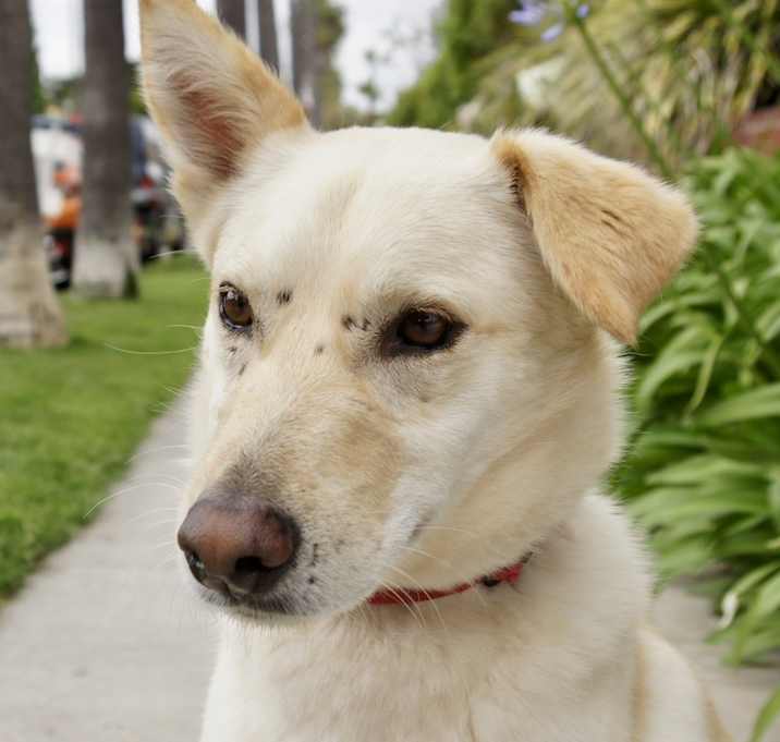 Photo of Reggie