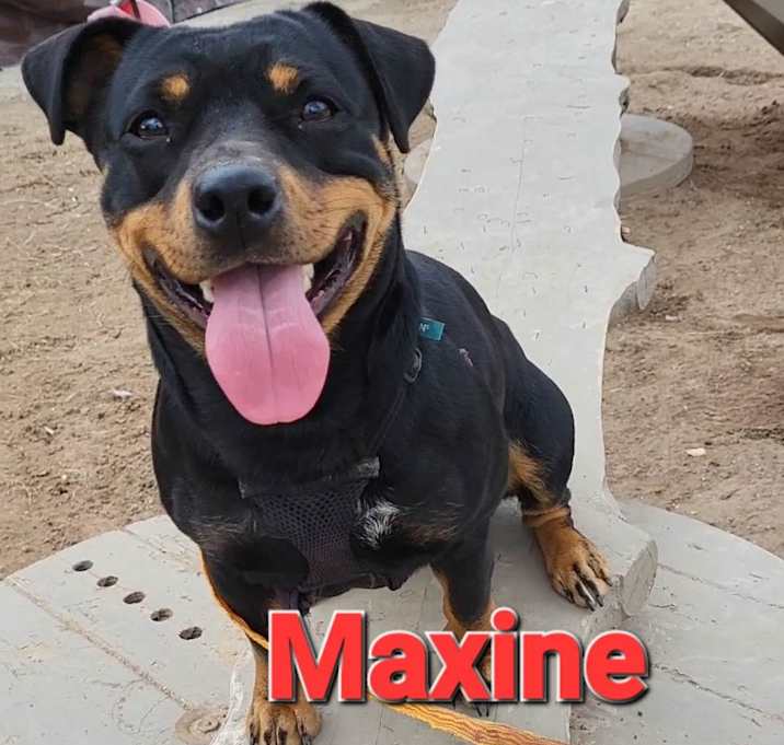 Photo of Maxine