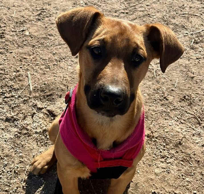 Photo of Bonnie