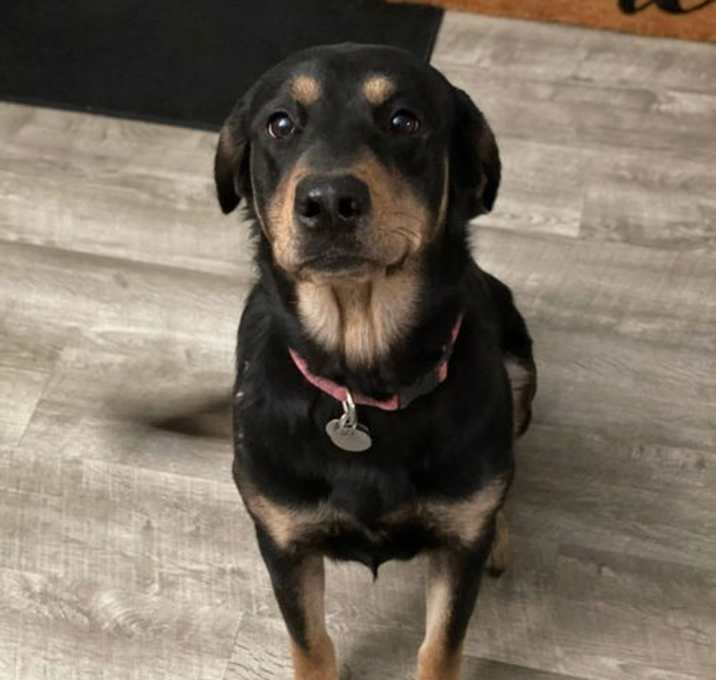 Photo of Ellie Benelli