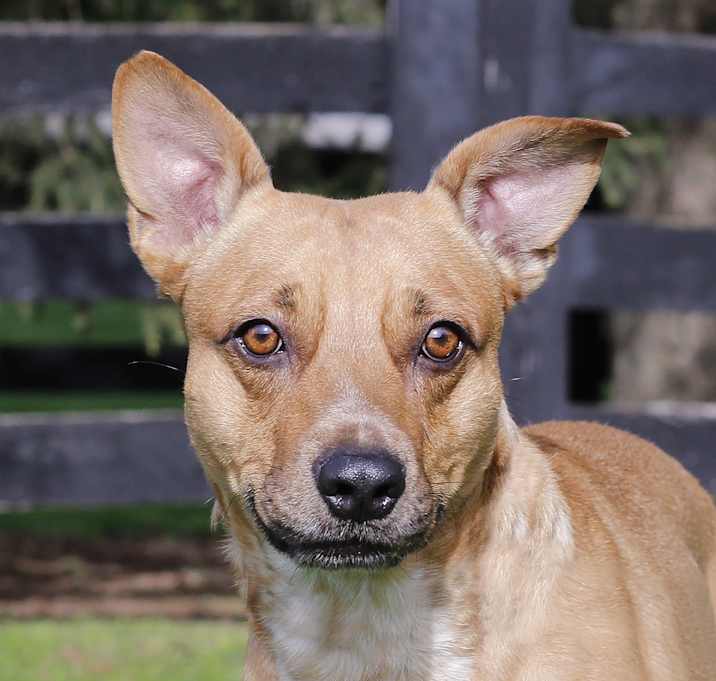 Photo of Harley