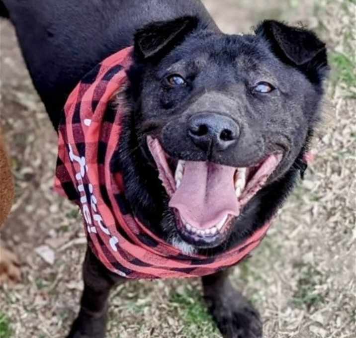 Photo of Aspen