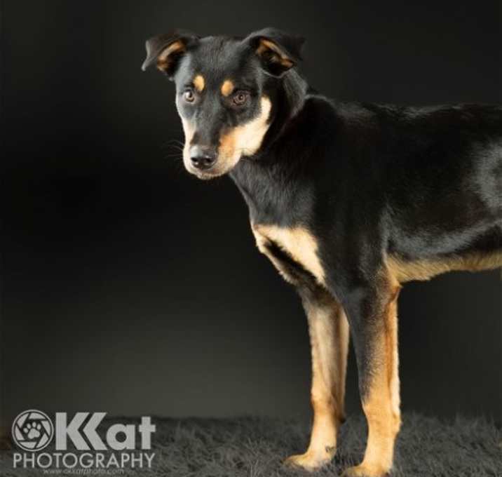 Photo of Penny