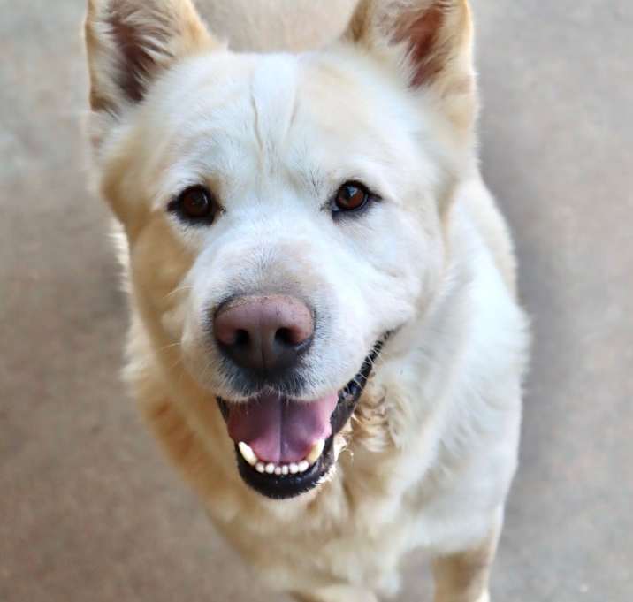 Photo of Duke 2
