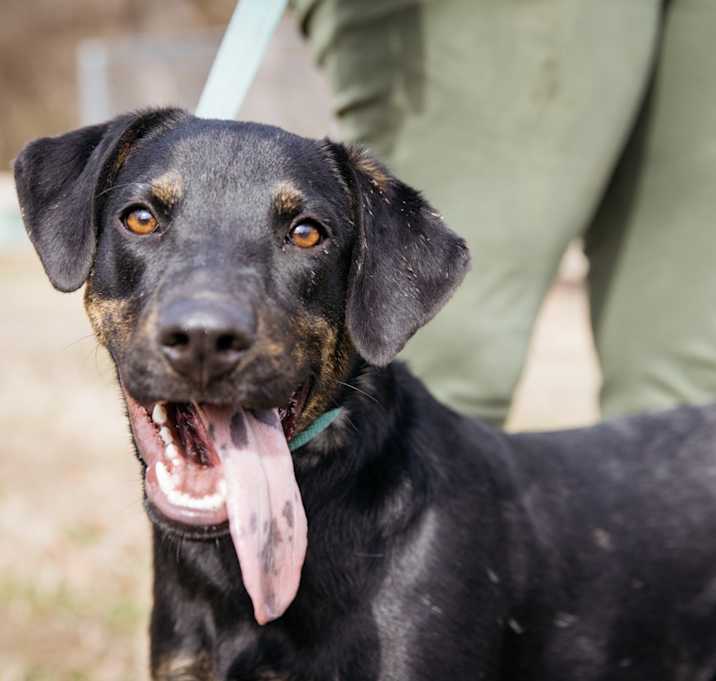 Photo of Axle