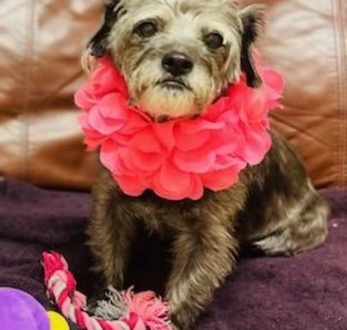 Photo of Marnie