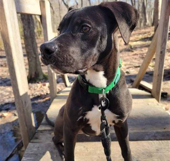 Photo of Max