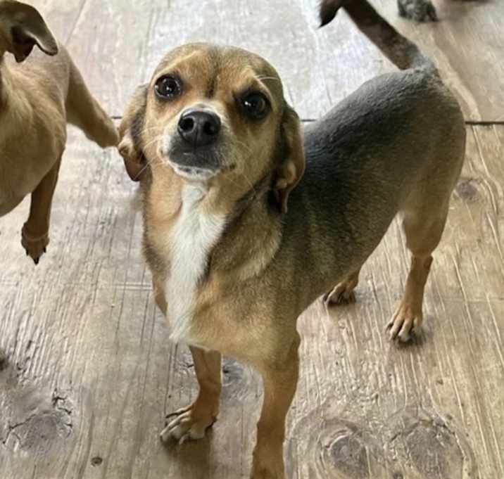 Photo of Solo