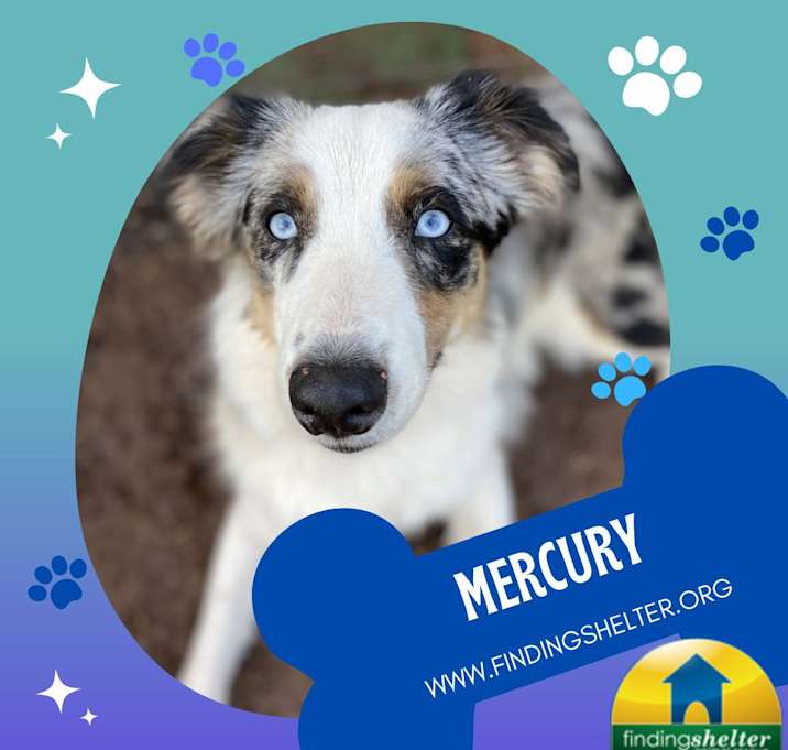 Photo of Mercury