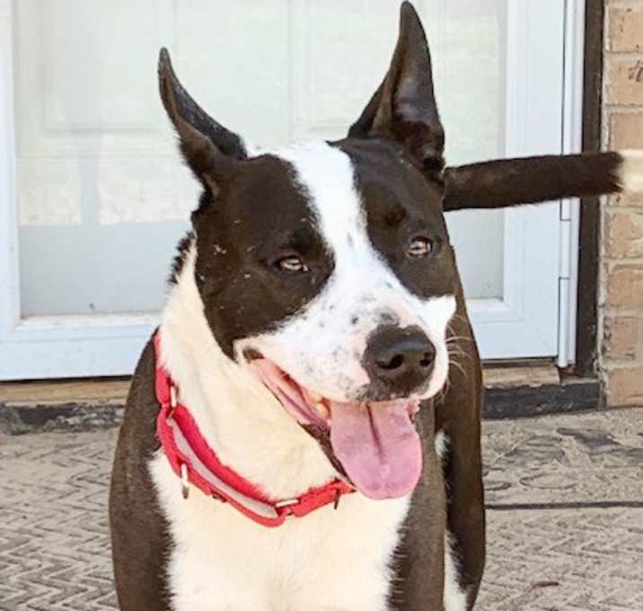 Photo of FINN
