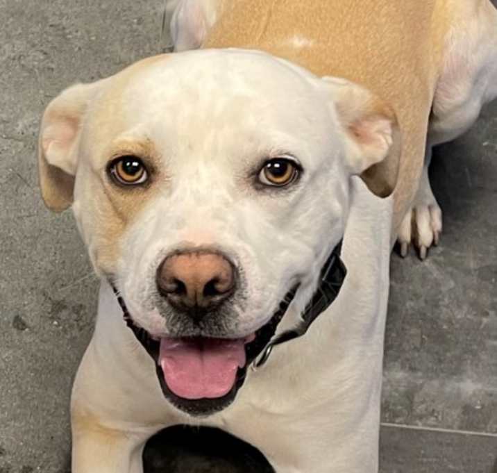 Photo of Charlie