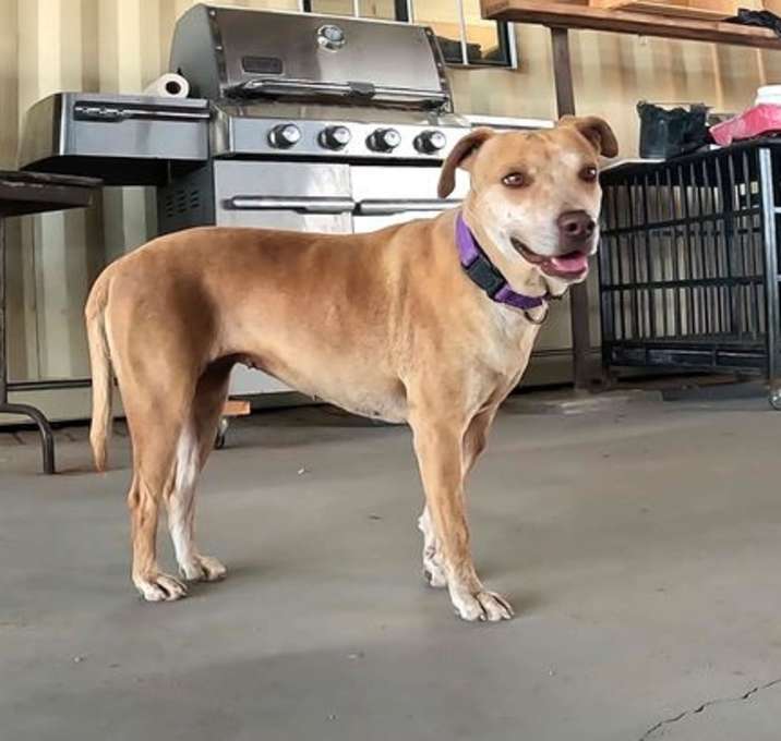 Photo of Lucy