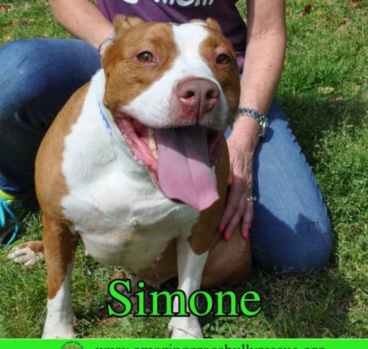 Photo of Simone