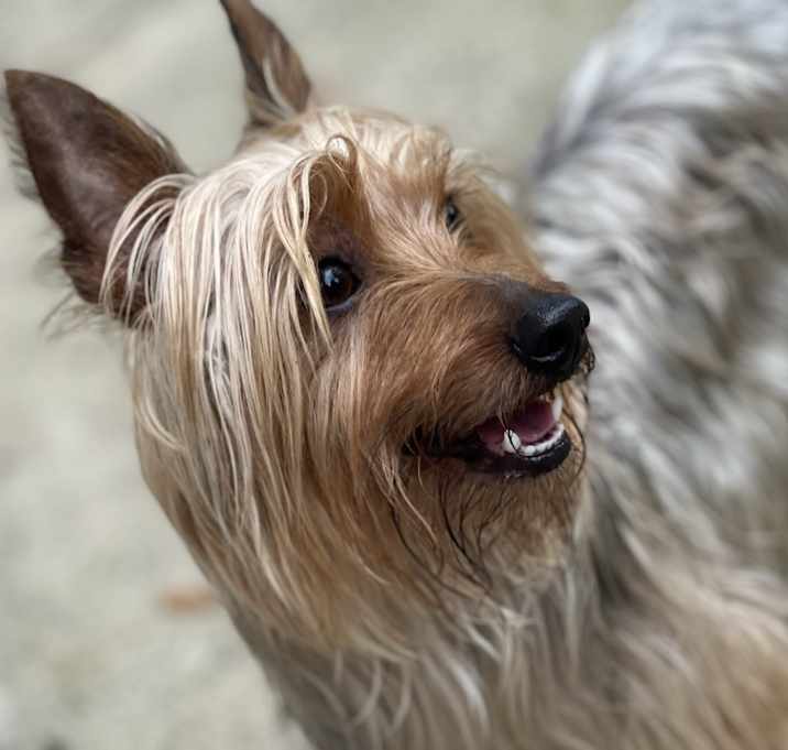 Photo of Charlie