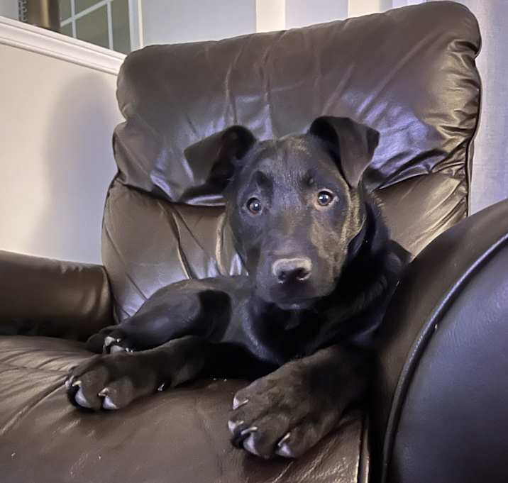 Photo of Hocus