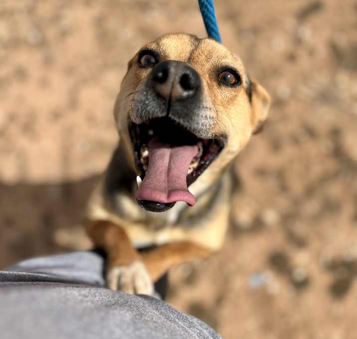 Photo of Chevy