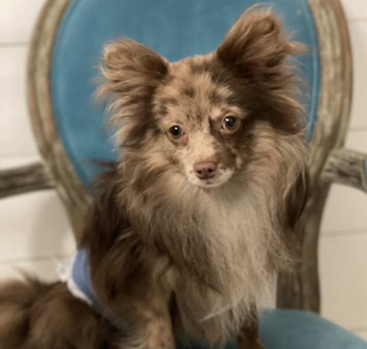 Photo of Zuko