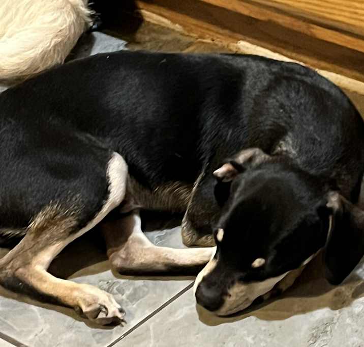Photo of Sebastian