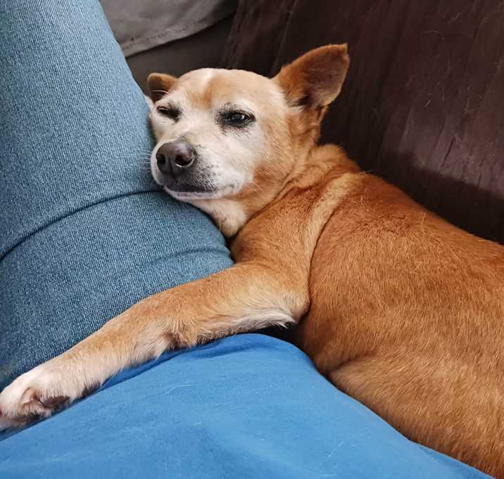 Photo of Lando