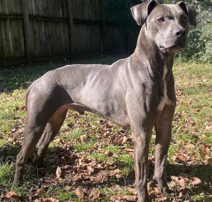 Photo of Spirit