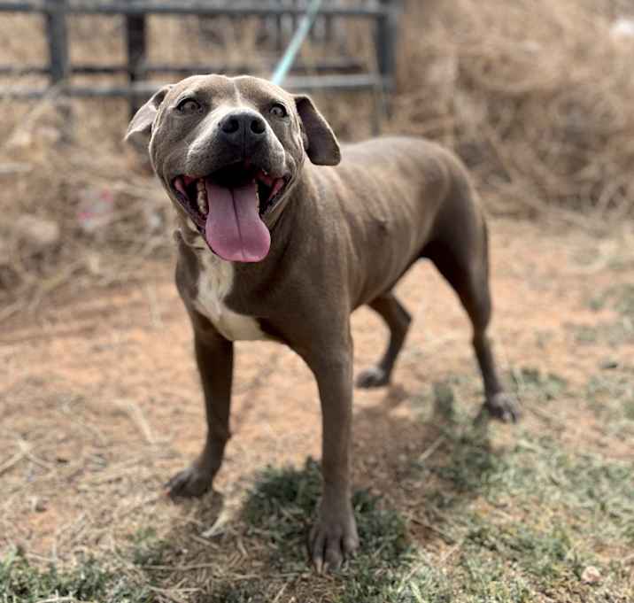 Photo of Cash