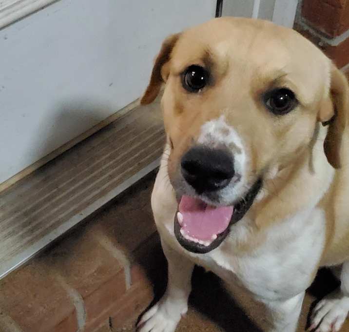 Photo of SHILO