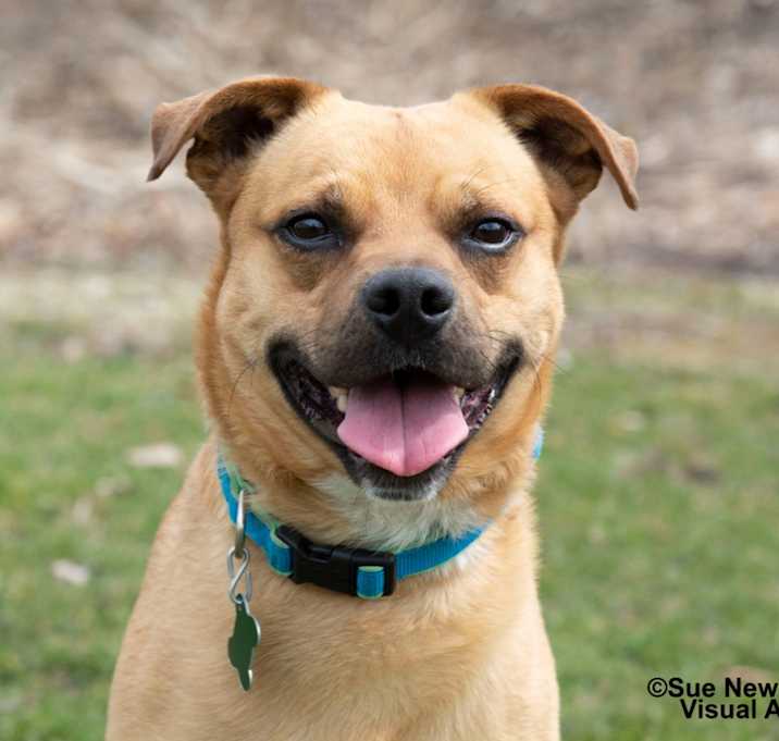 Photo of Rudy