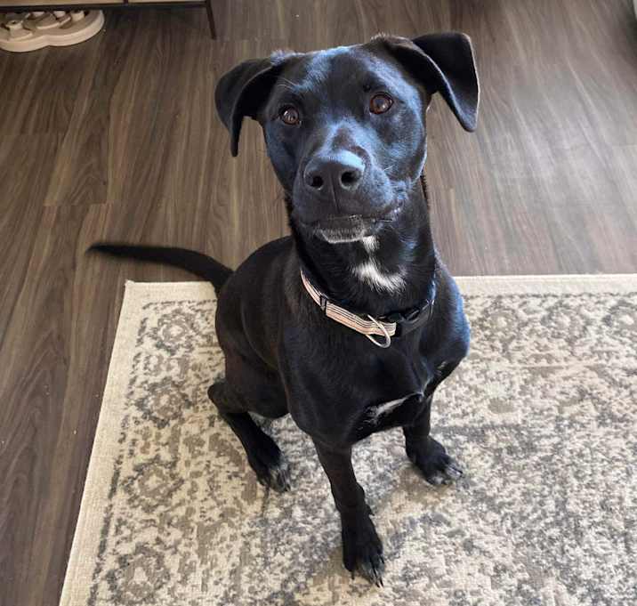 Photo of Max