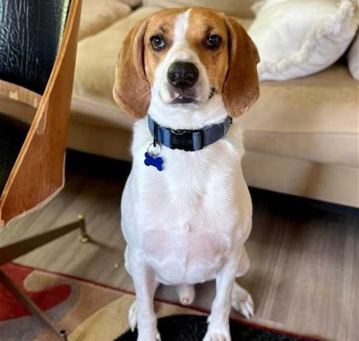 Photo of Darwin