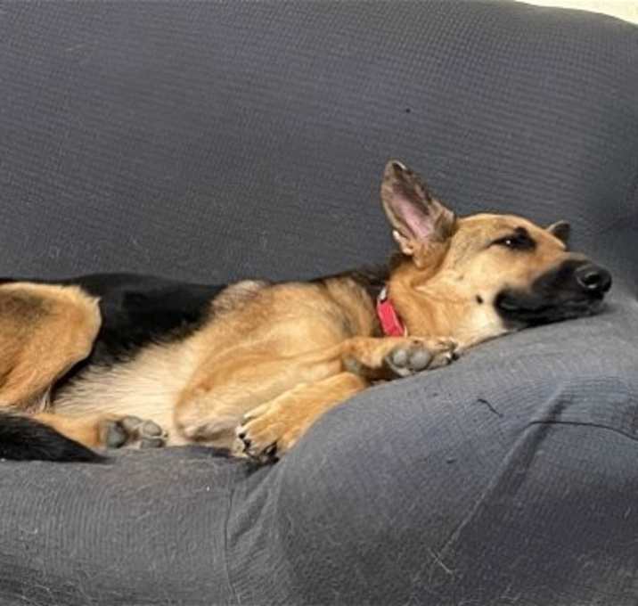 Photo of Molly