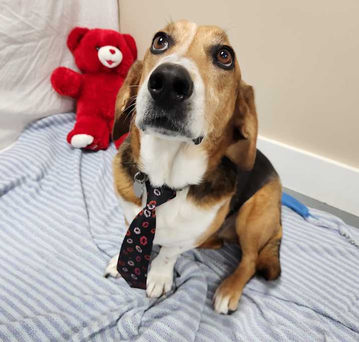 Photo of Stanley