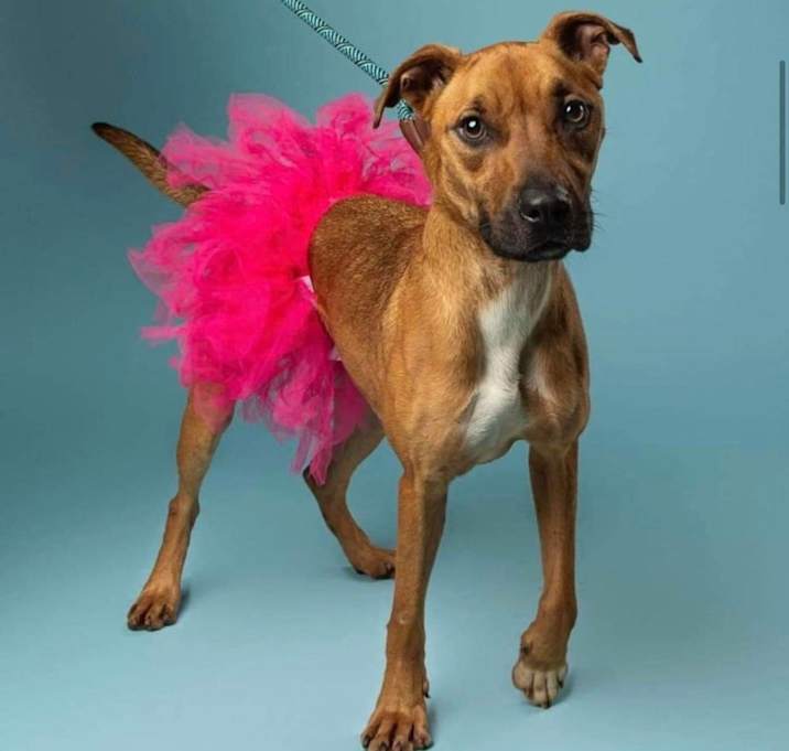 Photo of Molly